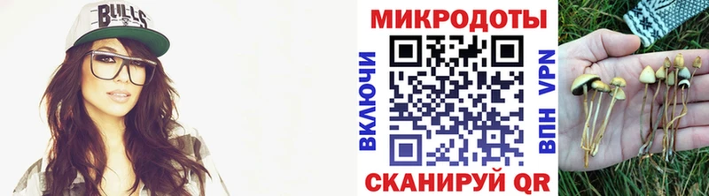 Псилоцибиновые грибы мицелий  Мегион 